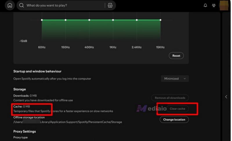 click Clear cache | Why Is Spotify So Slow