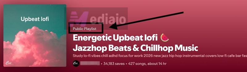 Public Playlist label | Make a Playlist Public on Spotify