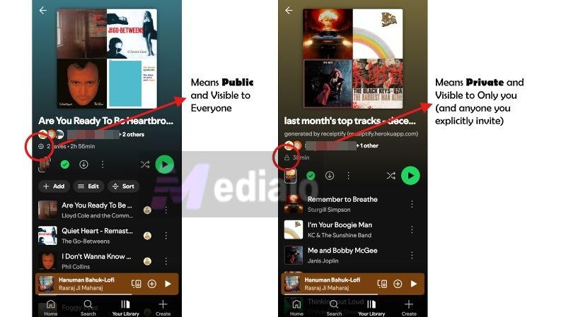padlock icon | Make a Playlist Public on Spotify