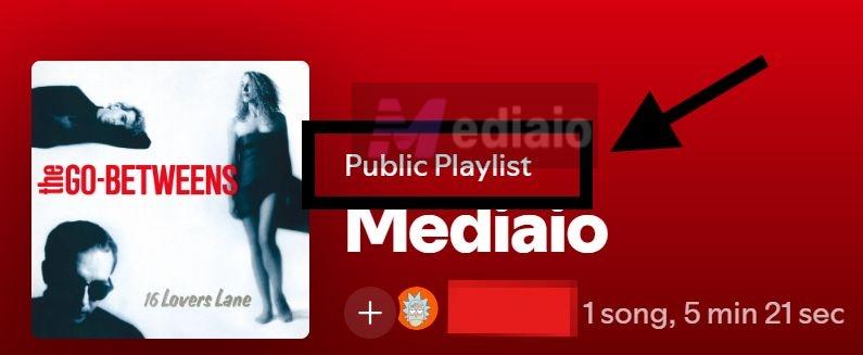 switch to Make private | Make a Playlist Public on Spotify
