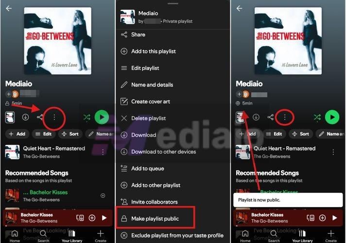 laylist is now public | Make a Playlist Public on Spotify