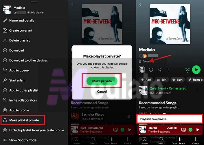 tap Make private | Make a Playlist Public on Spotify