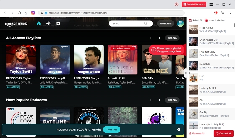 Add Playlist or Album