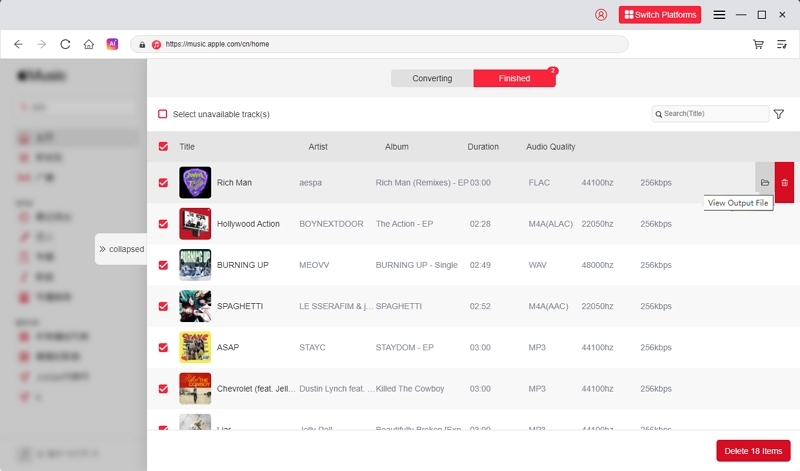 Mediaio view output file screen