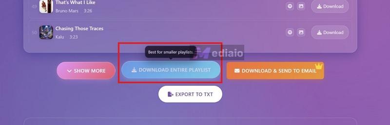 hit Download and Send to Email | Convert Spotify Playlist to MP3