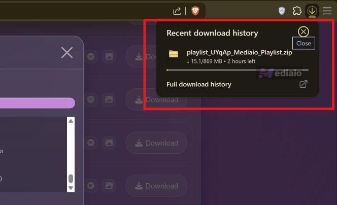 ZIP download | Convert Spotify Playlist to MP3