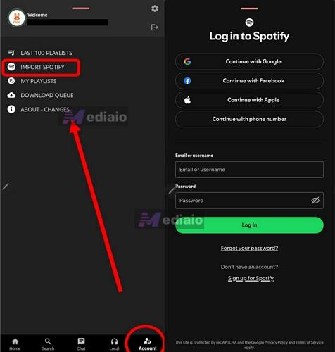 select Import Spotify | Convert Spotify Playlist to MP3