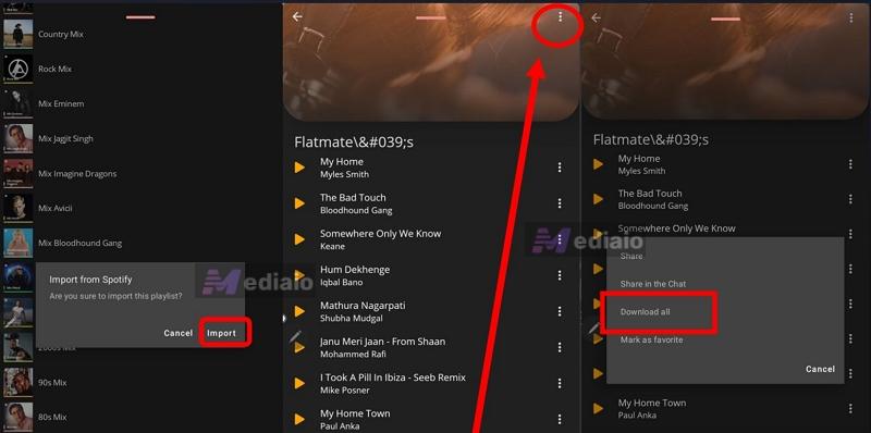 tap Import | Convert Spotify Playlist to MP3
