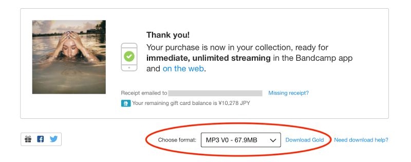 download purchased songs | Play Spotify on MP3 Player