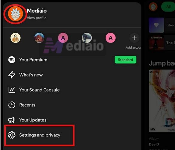 go into Settings and privacy | Add and Switch Accounts on Spotify