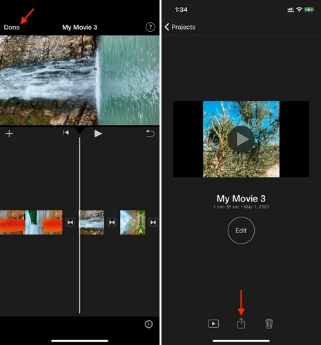 use Save Video | Remove Audio from iPhone Video