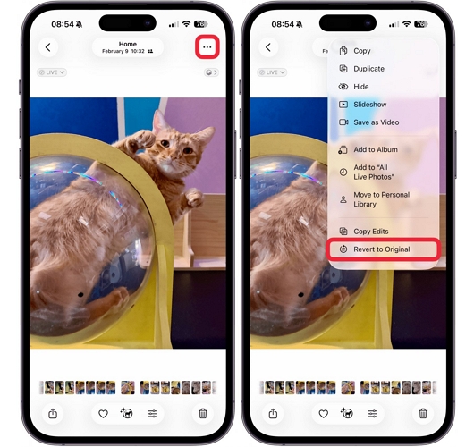 use Revert to Original | Remove Audio from iPhone Video