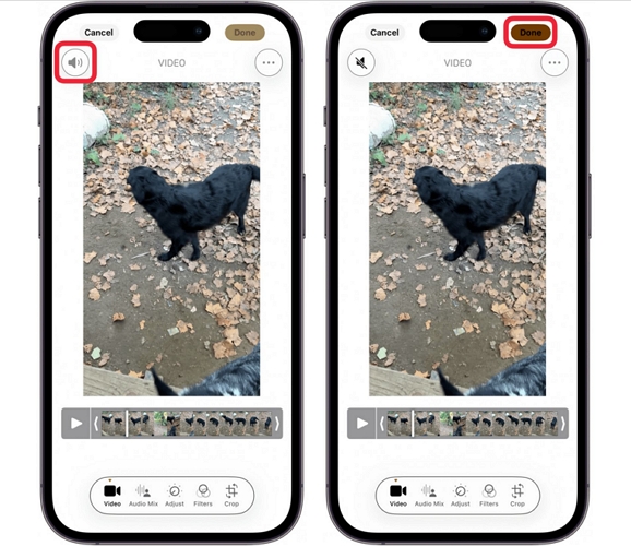 hit Done | Remove Audio from iPhone Video
