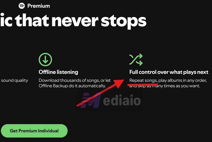 Premium Lite | Repeat a Song on Spotify