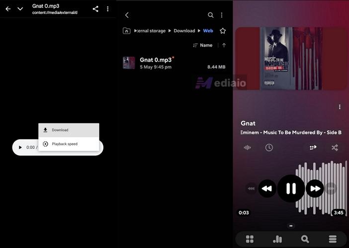 go to Internal Storage | Rip Music from YouTube