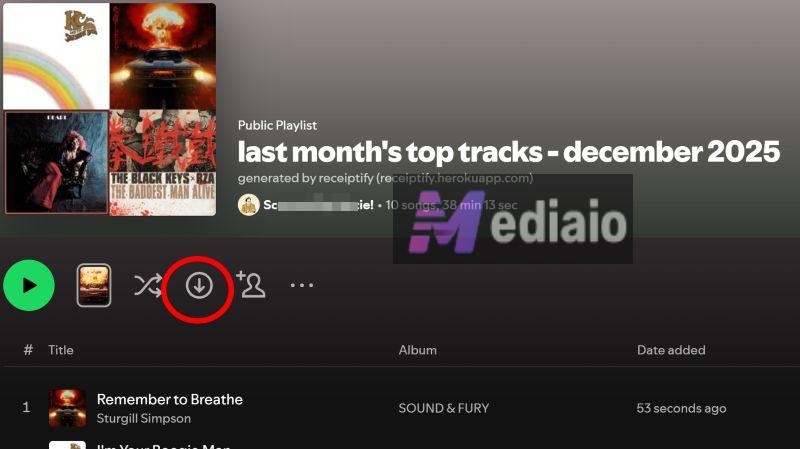 click Download in Spotify | Spotify Receipt