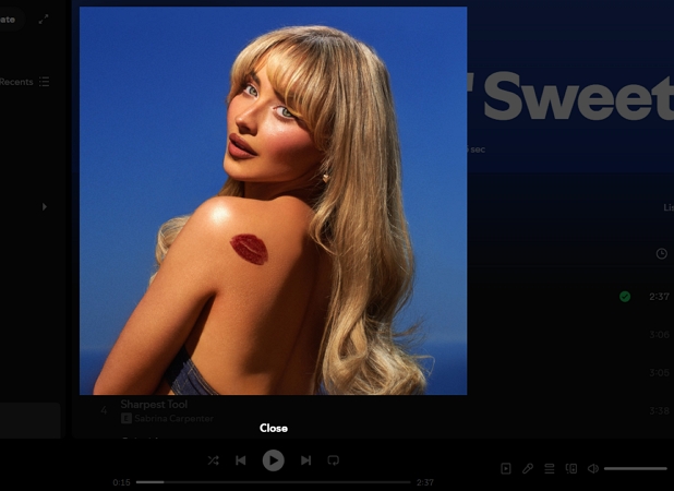 screenshot Spotify artwork | Download Spotify Cover Art