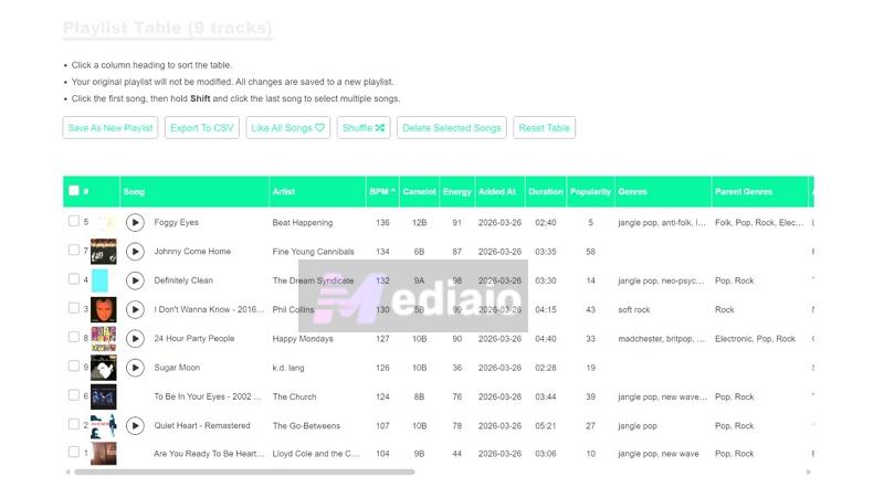Chosic playlist Analyzer | Can You See Who Liked Your Playlist on Spotify