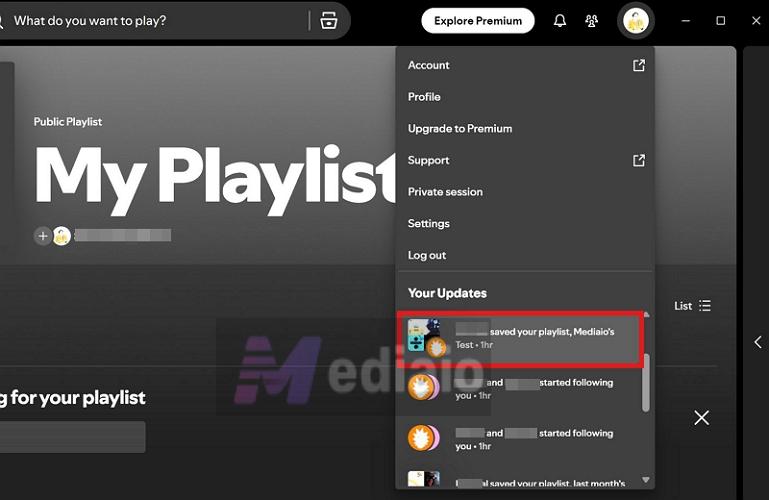 Your Updates | Can You See Who Liked Your Playlist on Spotify