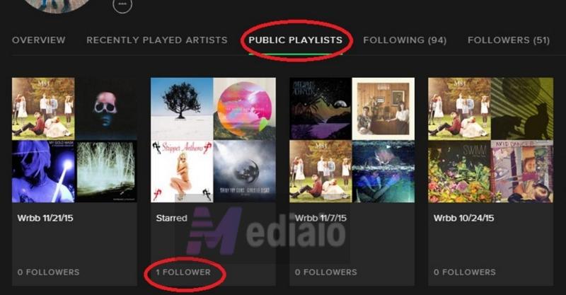 Followers Spotify | Can You See Who Liked Your Playlist on Spotify