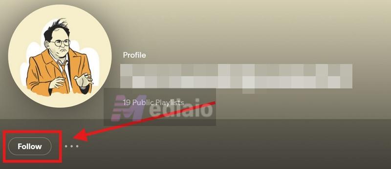 follow profiles | Can You See Who Liked Your Playlist on Spotify