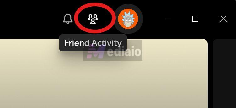 Friend Activity | Can You See Who Liked Your Playlist on Spotify