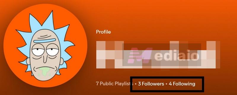 click profile | Can You See Who Liked Your Playlist on Spotify