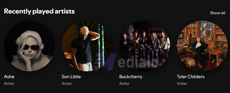 recently played artists | Can You See Who Liked Your Playlist on Spotify