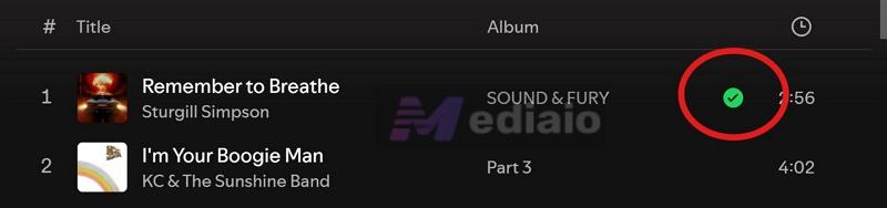 add to Liked Songs | Can You See Who Liked Your Playlist on Spotify