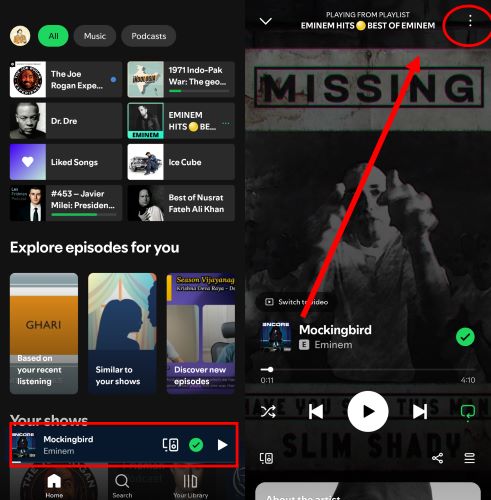 open Now Playing | Set Sleep Timer on Spotify