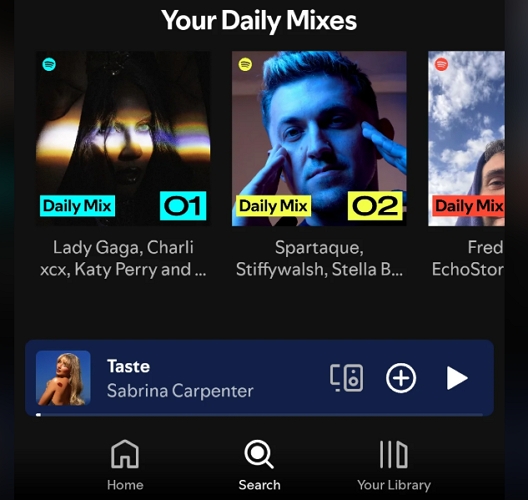 Daily Mixes