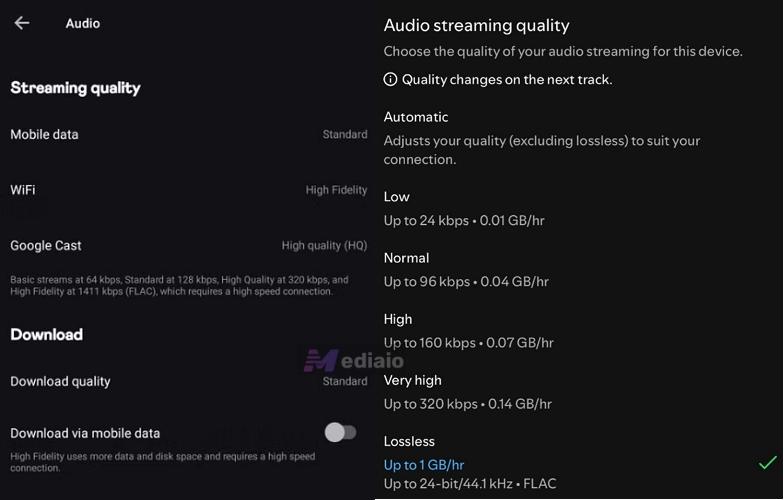 Spotify Qualität