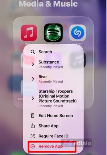 tap Remove app | Why Is Spotify So Slow