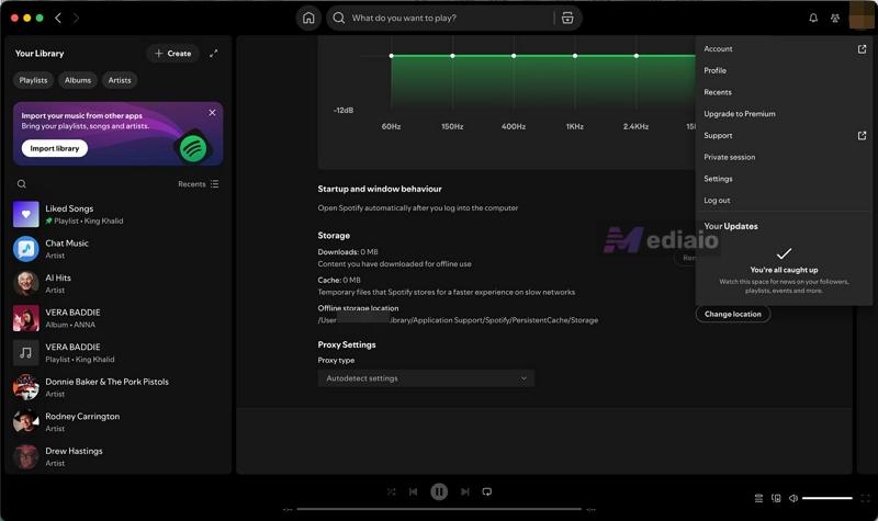 click Update Spotify now | Why Is Spotify So Slow