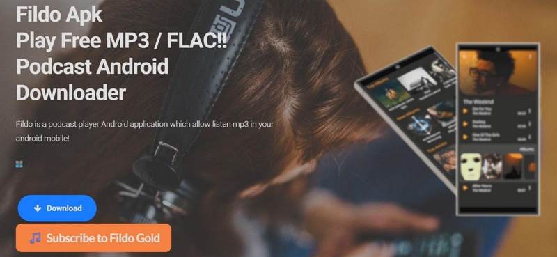 Fildo | Spotify Downloader Chrome Extensions