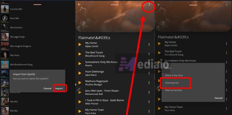 select Download all | Spotify Downloader Chrome Extensions