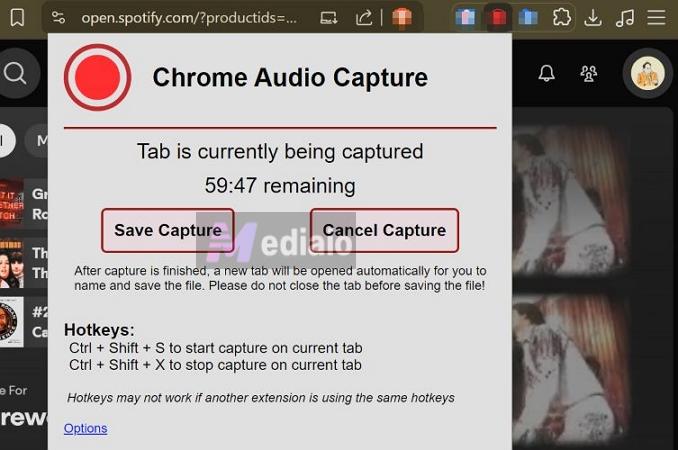 click Save Capture | Spotify Downloader Chrome Extensions