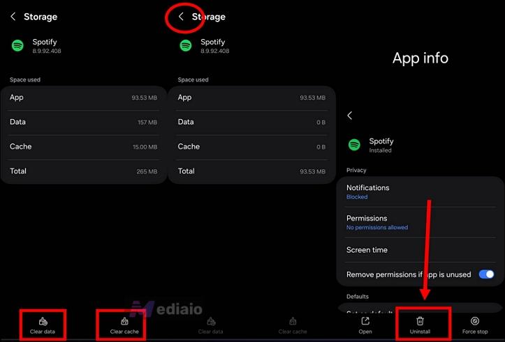 remove Spotify | Spotify Lyrics Not Showing