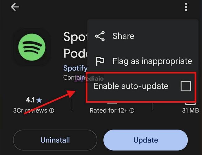 disable Enable auto-update | Spotify Lyrics Not Showing