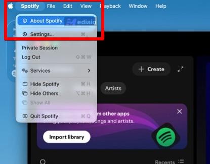 click About Spotify | Why Is Spotify So Slow