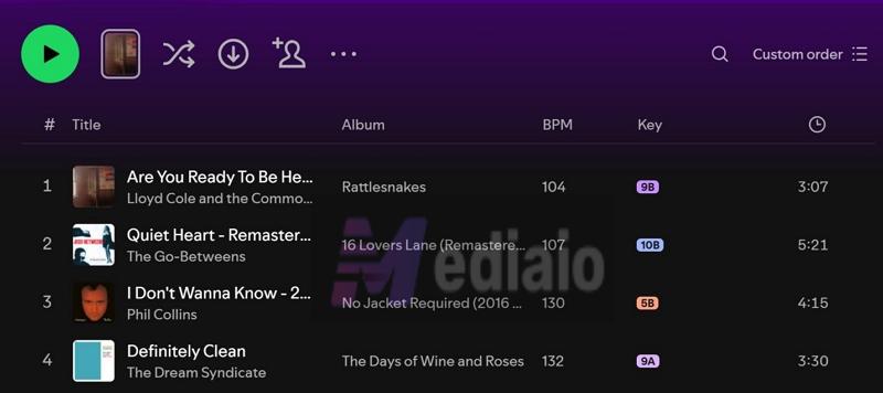 BPM | Can You See Who Liked Your Playlist on Spotify