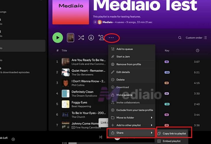 open playlist | Spotify Playlist Name Generators