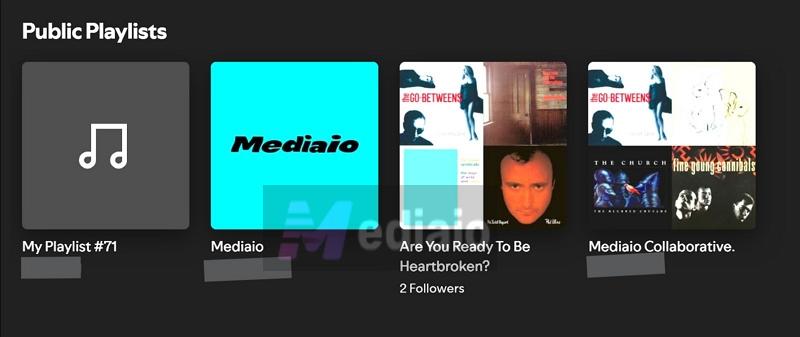 playlists in profile | Make a Playlist Public on Spotify