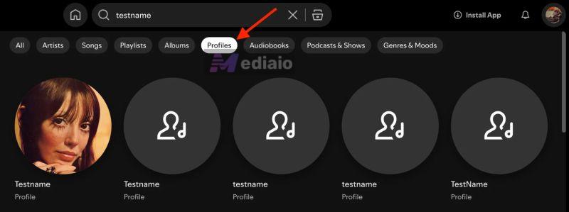 use filter | Spotify Search Not Working