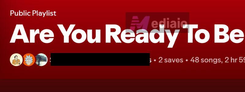 click display name | Spotify Search Not Working