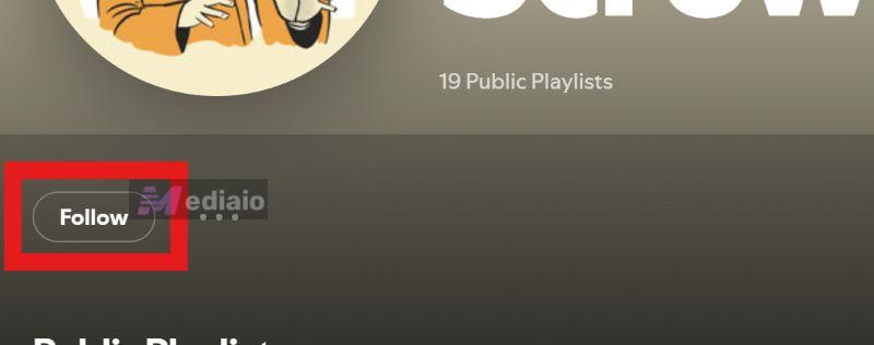 follow profiles | Spotify Search Not Working