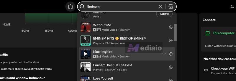 reduce cache | Spotify Search Not Working
