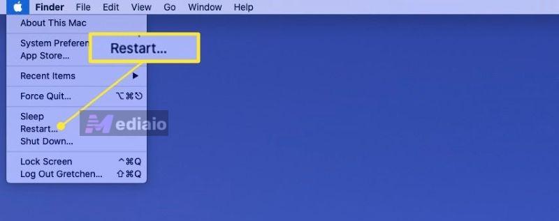 boot PC | Spotify Search Not Working