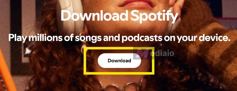 search works again | Spotify Search Not Working