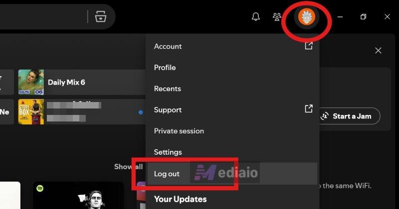 choose Log out | Spotify Search Not Working